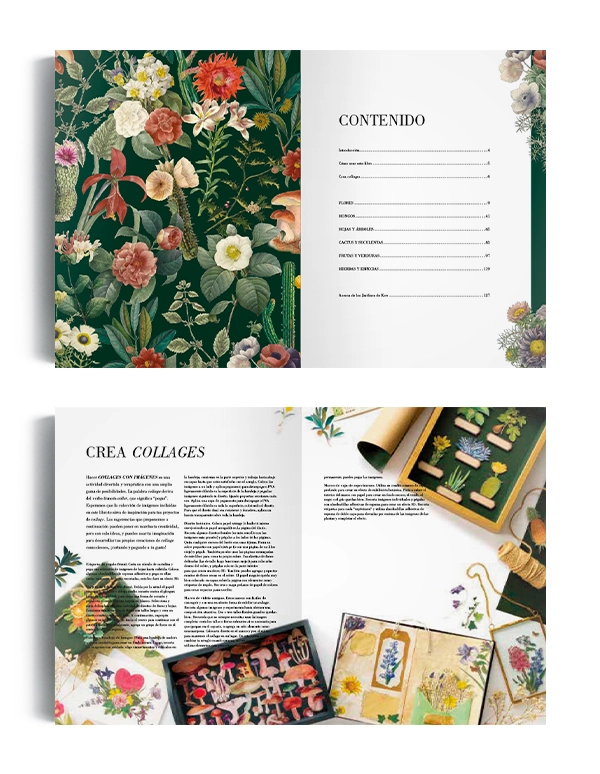 LIBRO ILUSTRACIÓN BOTÁNICA PARA RECORTAR Y HACER COLLAGE - DAVID AND CHARLES - 2