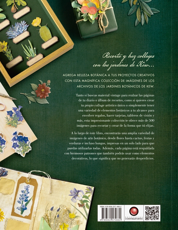 LIBRO ILUSTRACIÓN BOTÁNICA PARA RECORTAR Y HACER COLLAGE - DAVID AND CHARLES - 5