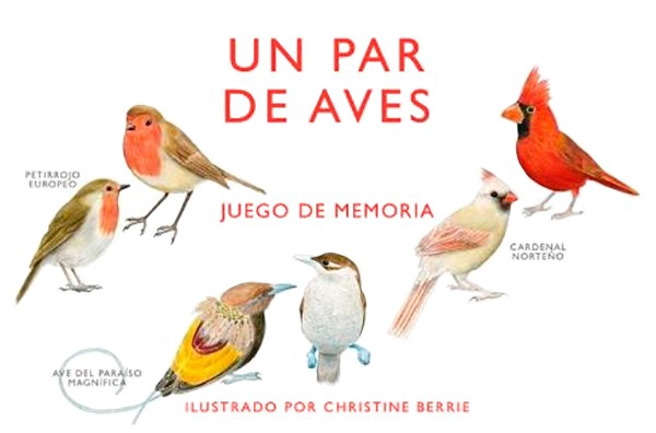 LIBRO UN PAR DE AVES. JUEGO DE MEMORIA - BERLE CHRISTINE - 5