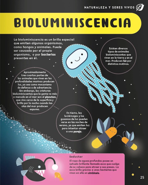 LIBRO ENCICLOPEDIA DE PALABRAS STEM - JENNY JACOBY - 3