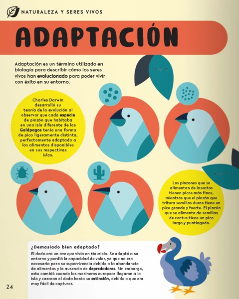 LIBRO ENCICLOPEDIA DE PALABRAS STEM - JENNY JACOBY - 4