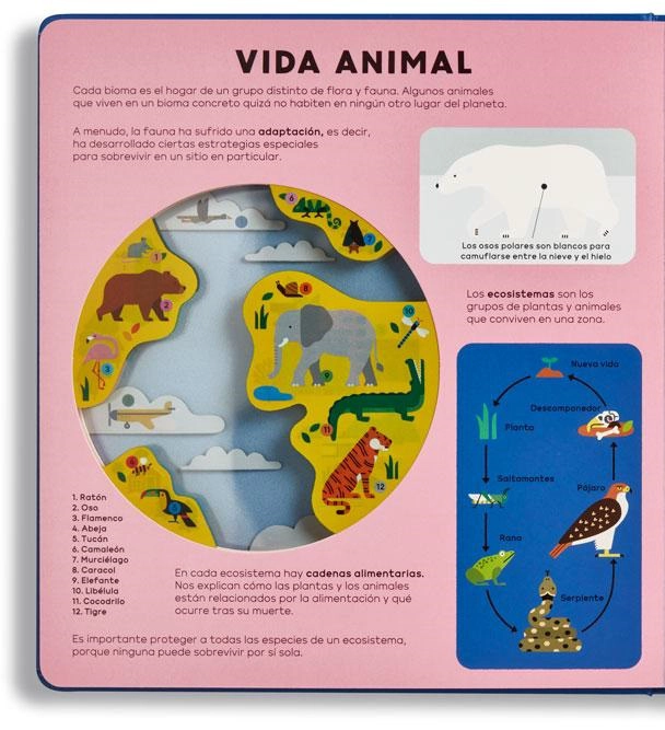 LA TIERRA DE EDITORIAL EDELVIVES - 4