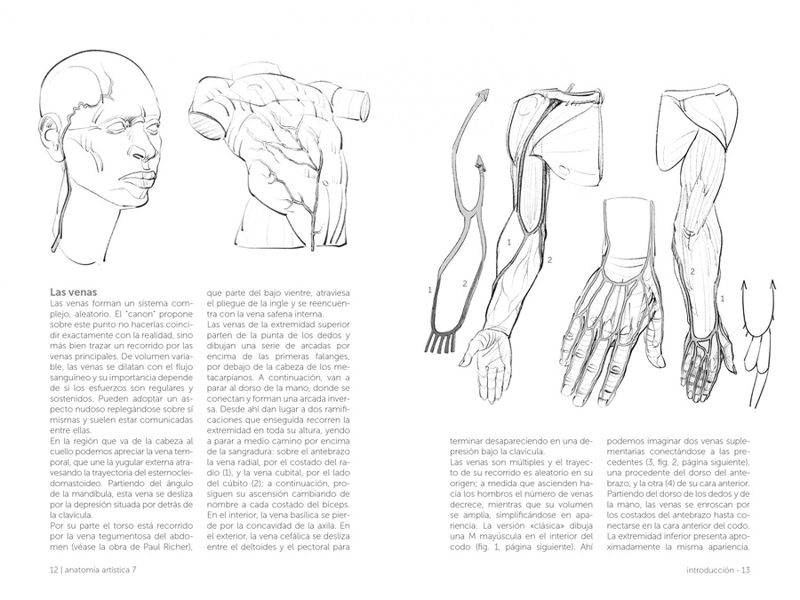 LIBRO ANATOMÍA ARTÍSTICA 7. CUERPOS MUSCULADOS - MICHEL LAURICELLA - 3