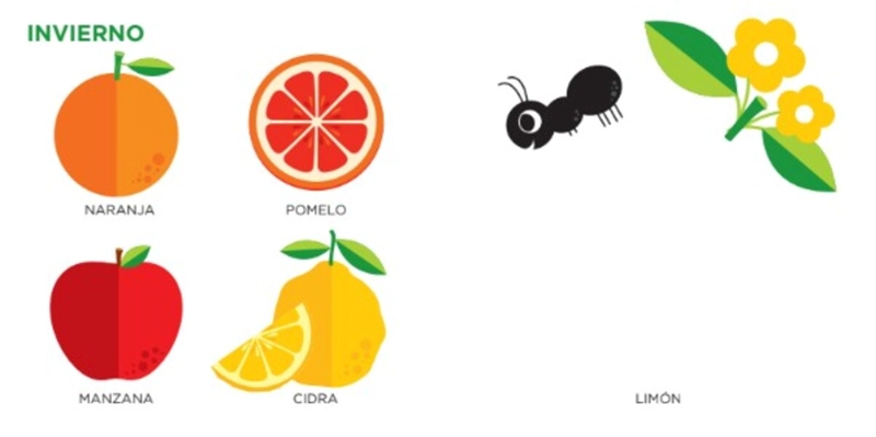 FRUTAS DE TEMPORADA DE EDITORIAL PICARONA - 3