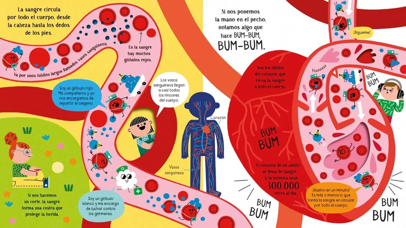 TU CUERPO. ADE NTRATE EN LA CIENCIA - 3