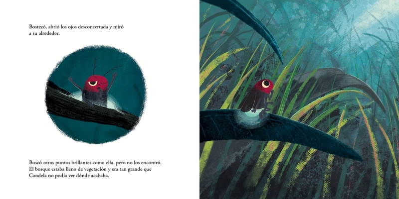 LIBRO EL VIAJE DE CANDELA - ALESSANDRO MONTAGNANA - 3