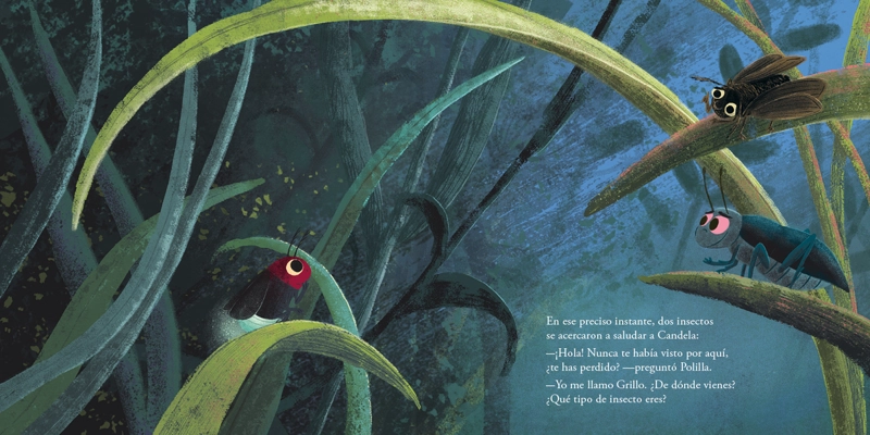 LIBRO EL VIAJE DE CANDELA - ALESSANDRO MONTAGNANA - 6