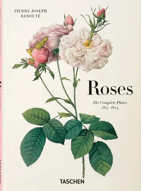 LIBRO ROSES · REDOUTÉ · POCKET BOOK H. WALTER LACK - 7