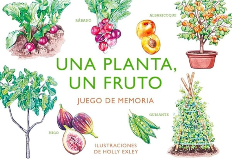 LIBRO UNA PLANTA, UN FRUTO. JUEGO DE MEMORIA - HOLLY EXLEY - 1