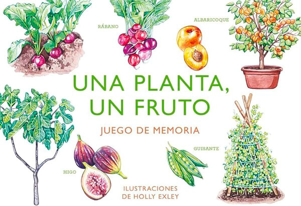 LIBRO UNA PLANTA, UN FRUTO. JUEGO DE MEMORIA - HOLLY EXLEY - 7