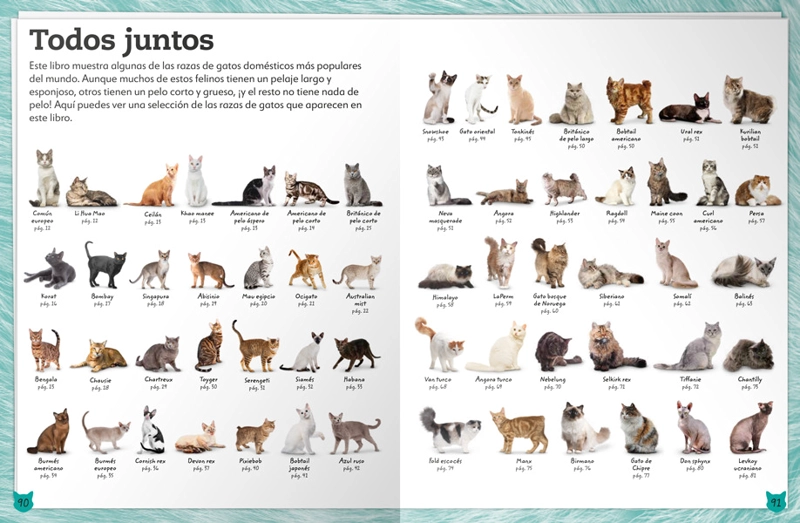 MI LIBRO DE GATOS Y GATITOS - VVAA. - 2