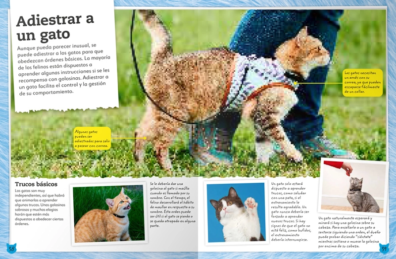MI LIBRO DE GATOS Y GATITOS - VVAA. - 4