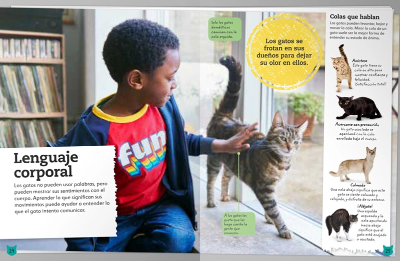 MI LIBRO DE GATOS Y GATITOS - VVAA. - 5