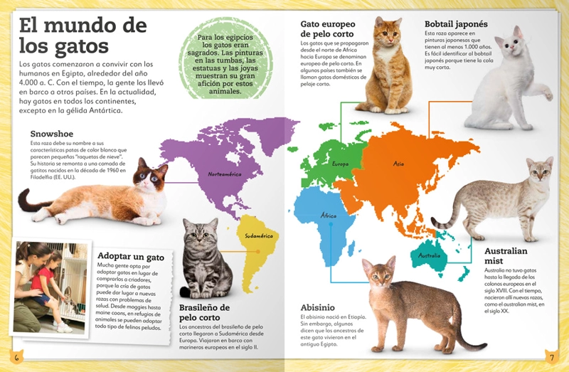 MI LIBRO DE GATOS Y GATITOS - VVAA. - 6
