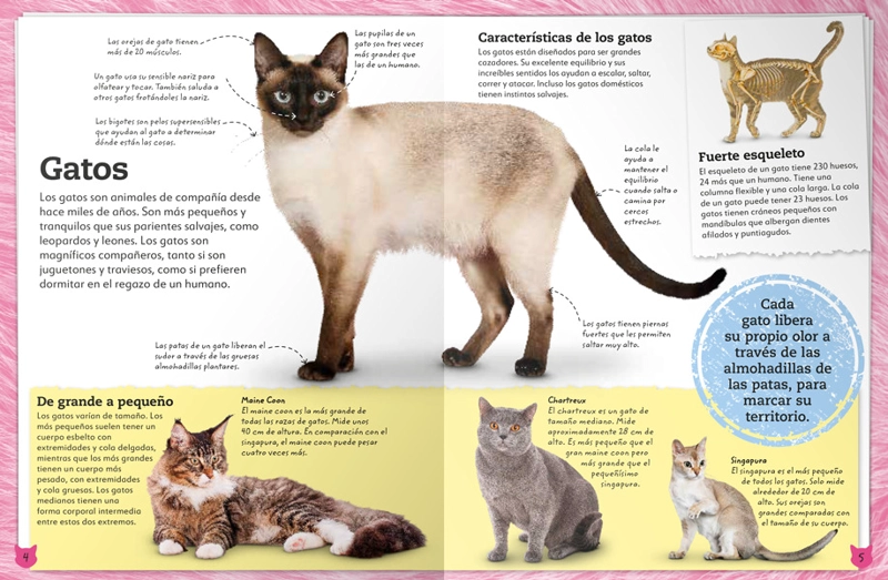 MI LIBRO DE GATOS Y GATITOS - VVAA. - 7
