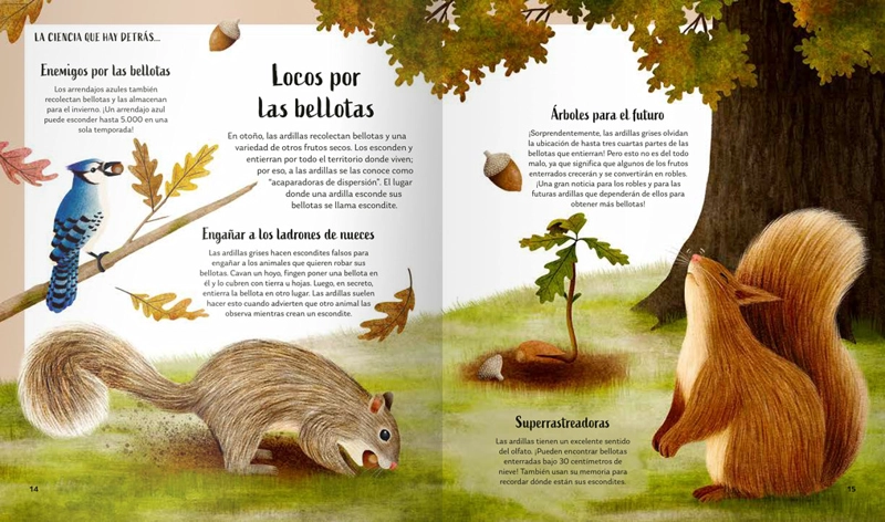 LIBRO SECRETOS DEL BOSQUE - ALICIA KLEPEIS - 3
