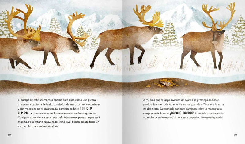 LIBRO SECRETOS DEL BOSQUE - ALICIA KLEPEIS - 4