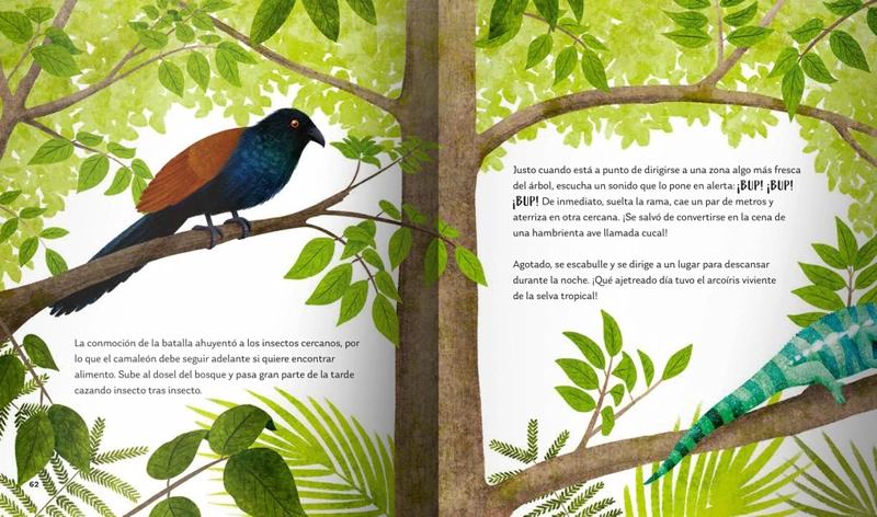 LIBRO SECRETOS DEL BOSQUE - ALICIA KLEPEIS - 5