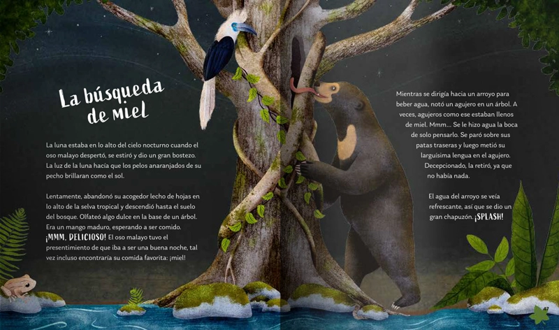 LIBRO SECRETOS DEL BOSQUE - ALICIA KLEPEIS - 6