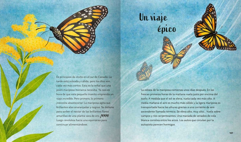 LIBRO SECRETOS DEL BOSQUE - ALICIA KLEPEIS - 7