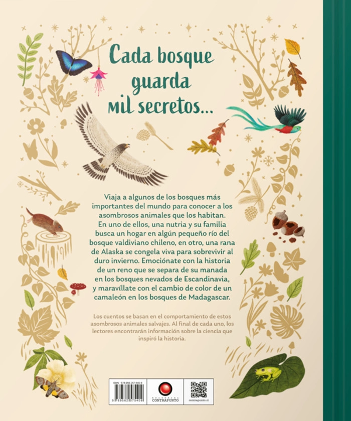 LIBRO SECRETOS DEL BOSQUE - ALICIA KLEPEIS - 8