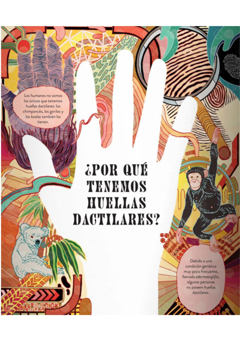 LIBRO MISTERIOS Y CURIOSIDADES - CLIVE GIFFORD - 2
