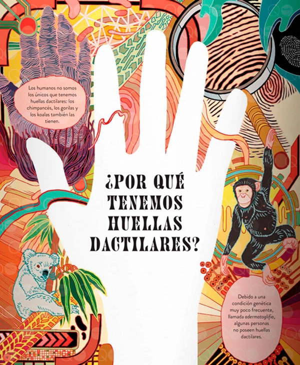 LIBRO MISTERIOS Y CURIOSIDADES - CLIVE GIFFORD - 8