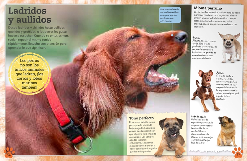 MI LIBRO DE PERROS Y CACHORROS - VVAA. - 2