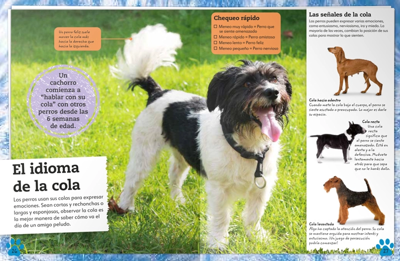 MI LIBRO DE PERROS Y CACHORROS - VVAA. - 3