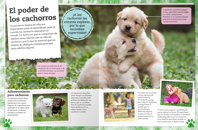 MI LIBRO DE PERROS Y CACHORROS - VVAA. - 4