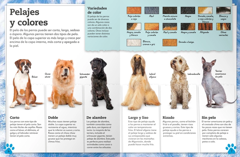 MI LIBRO DE PERROS Y CACHORROS - VVAA. - 6