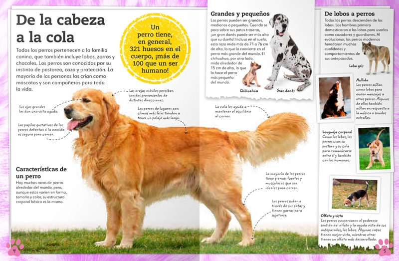 MI LIBRO DE PERROS Y CACHORROS - VVAA. - 7