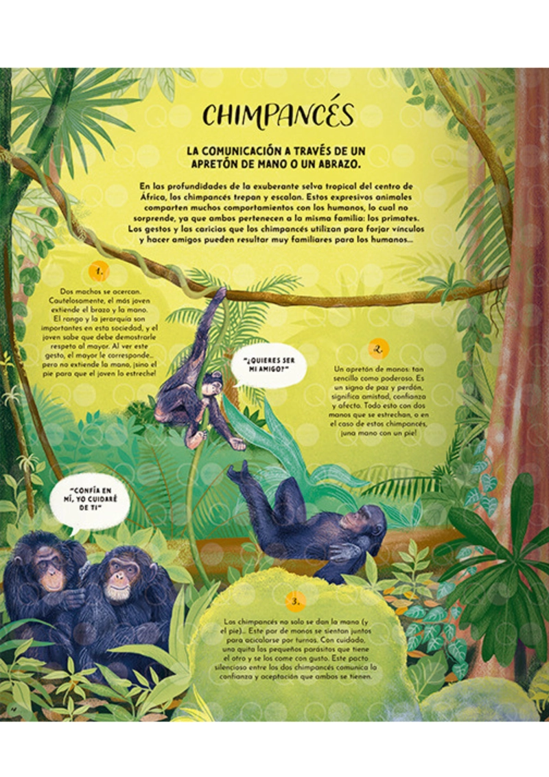 LIBRO EL LENGUAJE DE LA NATURALEZA - GABBY DAWNAY - 2
