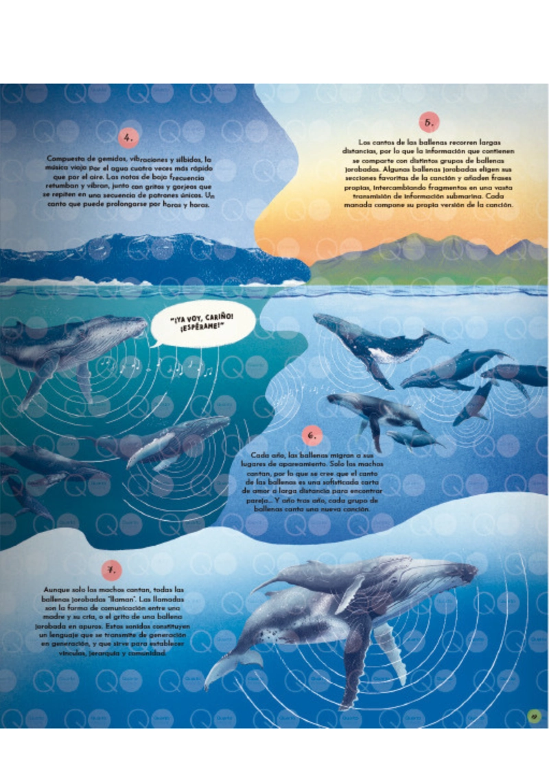 LIBRO EL LENGUAJE DE LA NATURALEZA - GABBY DAWNAY - 3