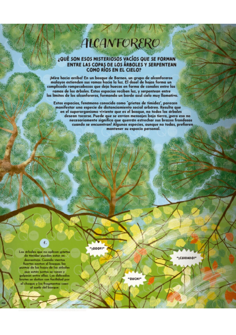 LIBRO EL LENGUAJE DE LA NATURALEZA - GABBY DAWNAY - 5