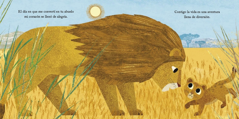 LIBRO MI ABUELO Y YO - SUSANNAH SHANE - 2