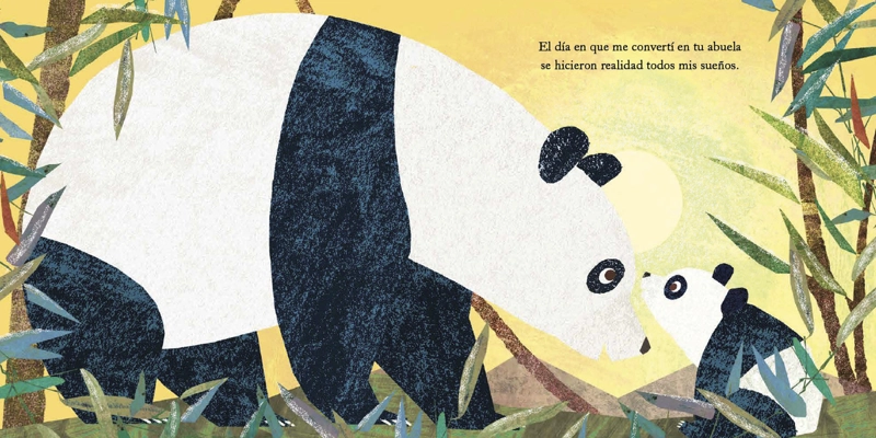 LIBRO MI ABUELA Y YO - SUSANNAH SHANE - 2