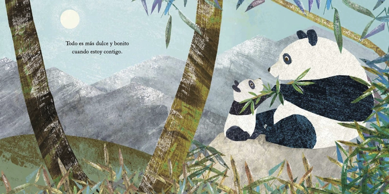 LIBRO MI ABUELA Y YO - SUSANNAH SHANE - 3