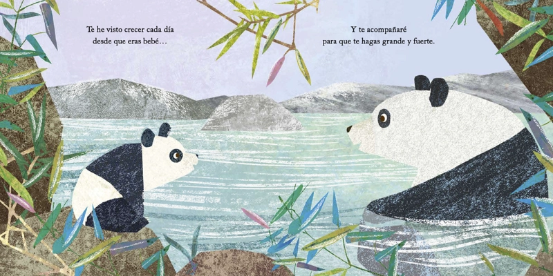 LIBRO MI ABUELA Y YO - SUSANNAH SHANE - 4