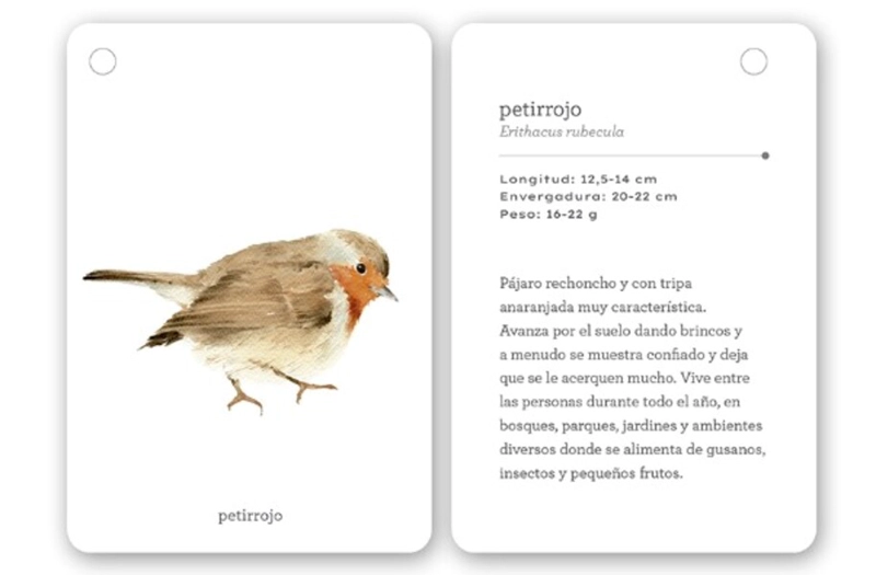 FIJATE: PAJAROS. GUIA PARA INICIAR LA OBSERVACION - 4