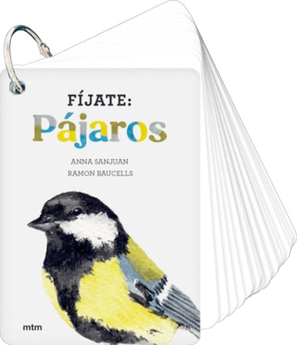 FIJATE: PAJAROS. GUIA PARA INICIAR LA OBSERVACION - 8