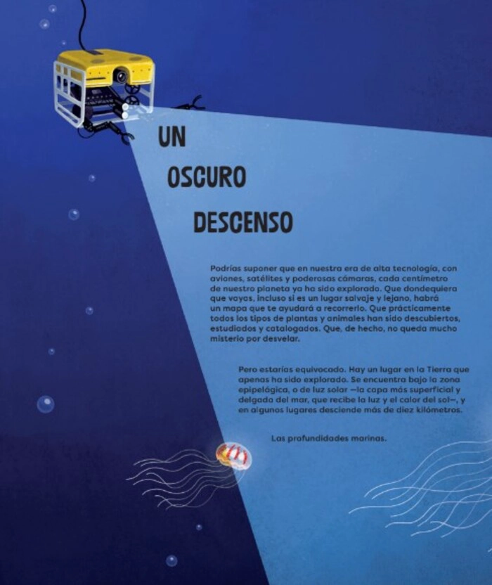LIBRO CRIATURAS DE LAS PROFUNDIDADES - MATT RALPHS - 4