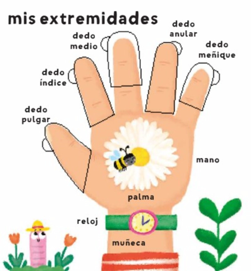 MI CUERPO. MIS PRIMERAS 100 PALABRAS - 4