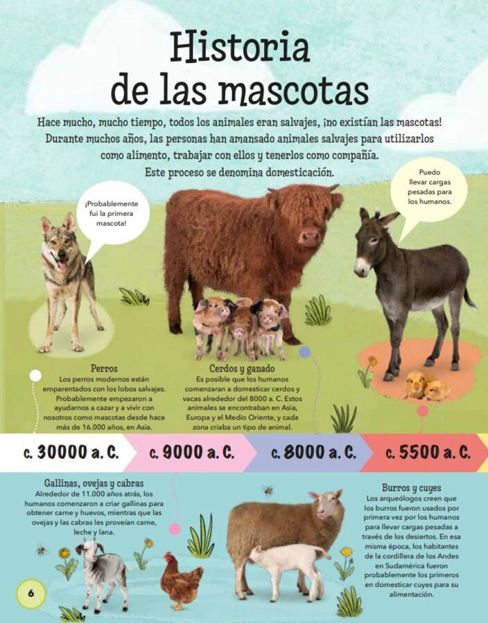 TODO SOBRE LAS MASCOTAS - 4