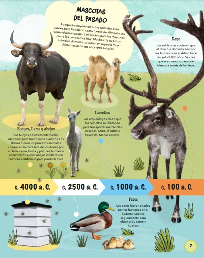 TODO SOBRE LAS MASCOTAS - 5