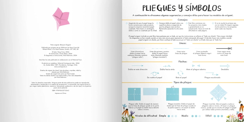 ORIGAMI DE FLORES - 9