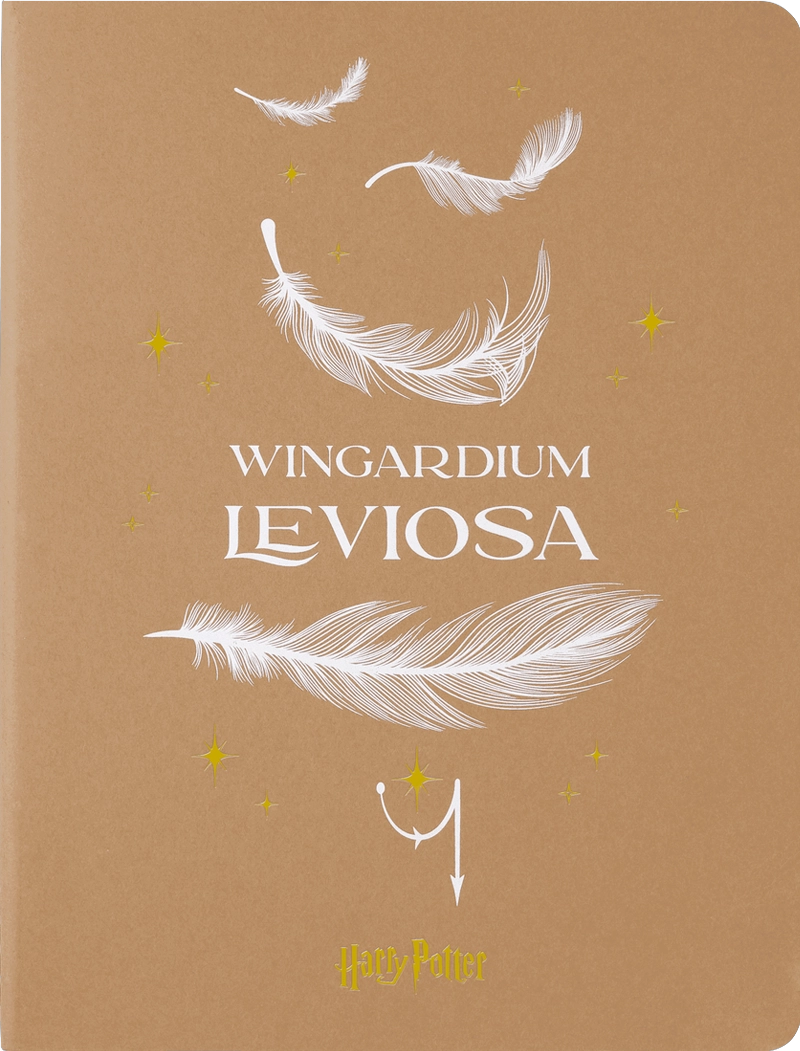 CAHIER ED. LIMIT. WIZARDING WORLD HARRY POTTER XL DE RAYAS - 5