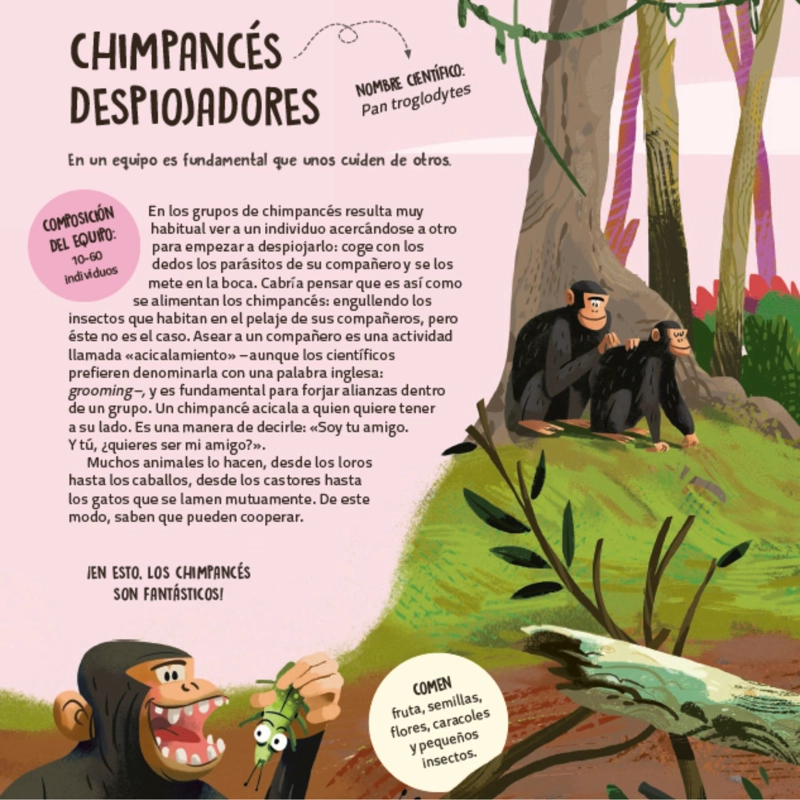 LIBRO INFANTIL TRABAJO EN EQUIPO. APRENDER DE LOS ANIMALES TECNOSCIENZA - 3