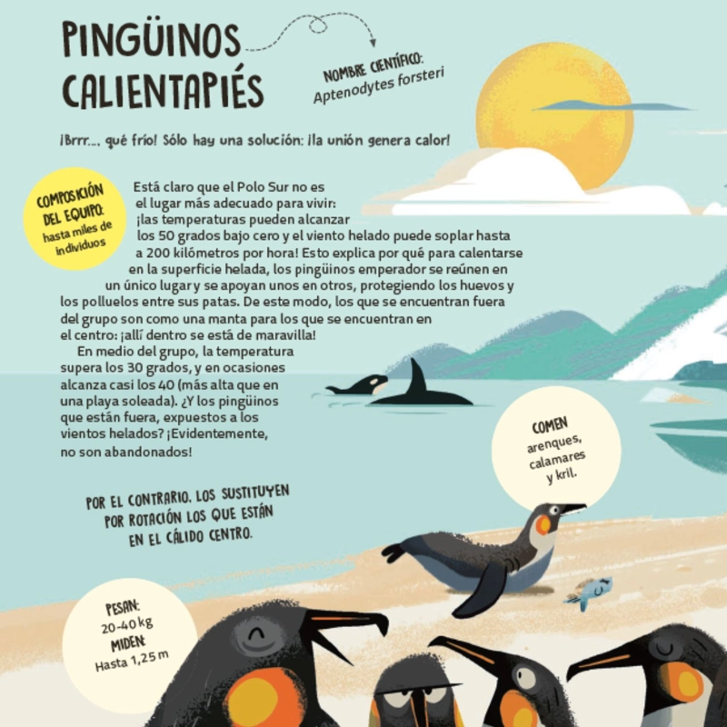 LIBRO INFANTIL TRABAJO EN EQUIPO. APRENDER DE LOS ANIMALES TECNOSCIENZA - 4