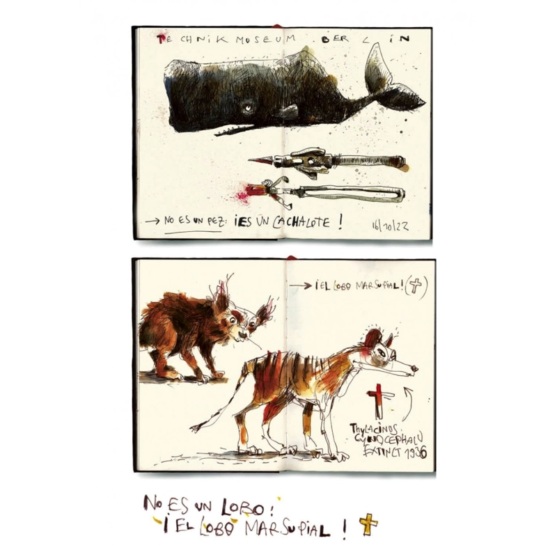 DIBUJAR ANIMALES Y COMPRENDERLOS - 5